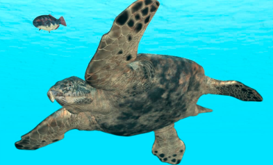 The Largest Turtle to Ever Live Archelon.