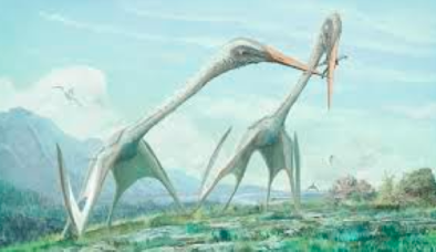 Exploring the Largest Flying Reptile of the Cretaceous Arambourgiania.